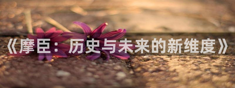赢咖,apk.