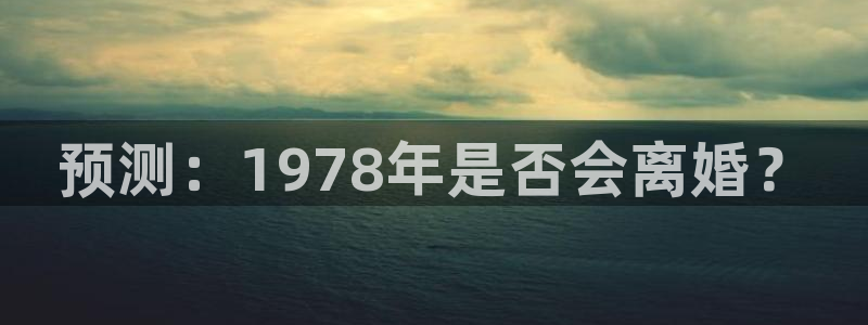 赢咖