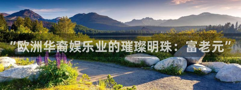 赢咖能退款吗