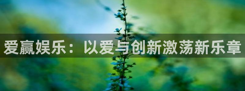 壹号平台下载安装官网