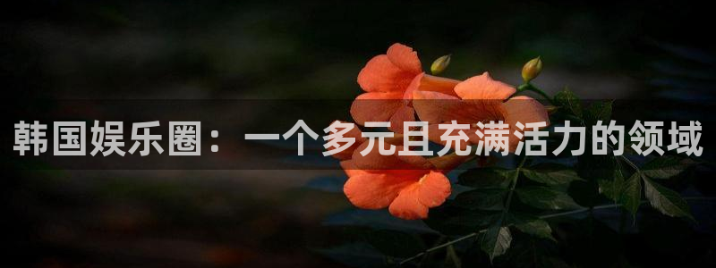 赢咖电子游戏官网