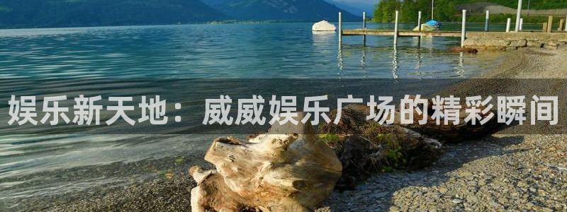赢咖下载