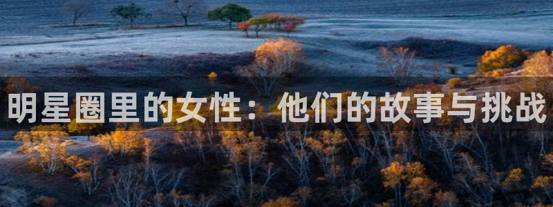 赢咖退款怎么退