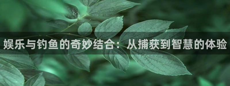赢咖app官网下载