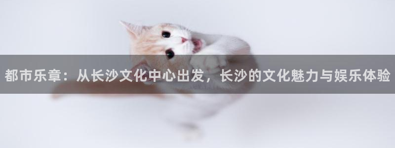 赢咖.com