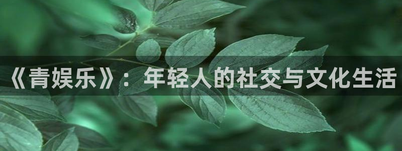 赢咖app下载