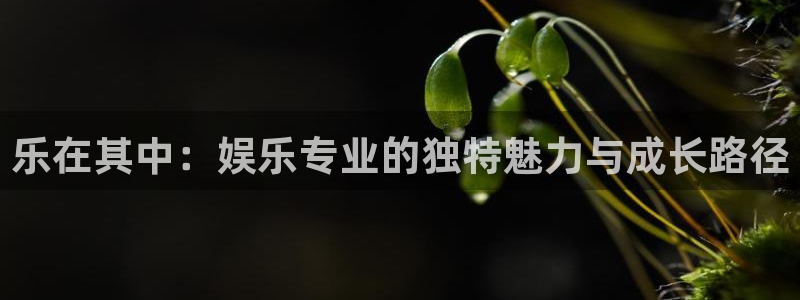 壹号官网app下载安装