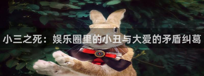 赢咖.com