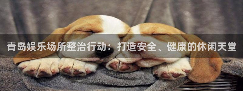 赢咖科技赋能,让平台更有趣