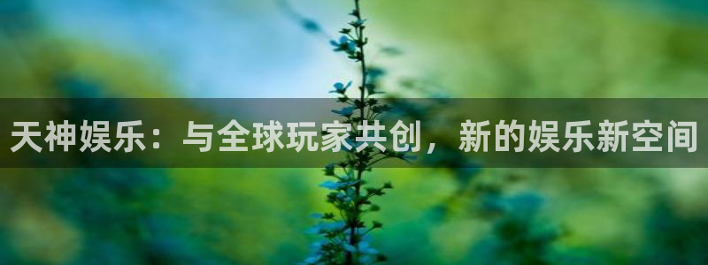 壹号玩家app下载