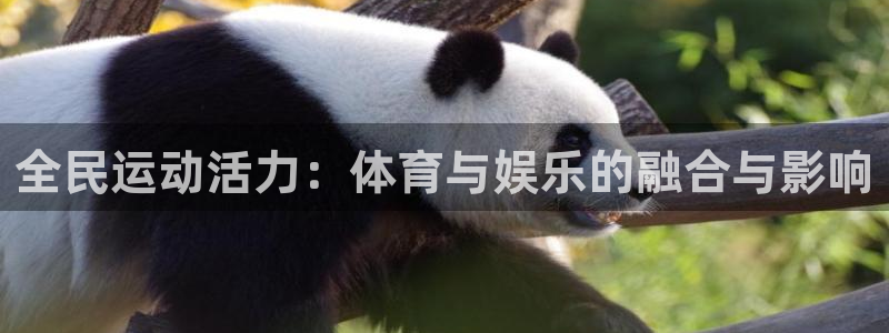 壹号电子娱乐app下载最新版