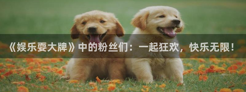 壹号app官方登录入口下载：《娱乐耍大牌》中的粉丝们：一起狂欢，快乐无限！