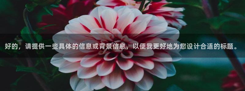 赢咖科技赋能,让平台更有趣