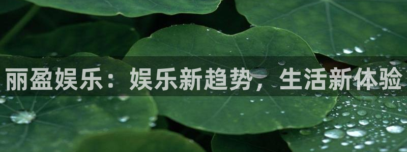 壹号app下载官方网站
