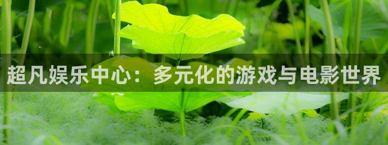 壹号top娱乐