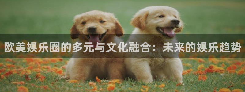 壹号app下载