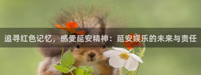 壹号电子娱乐app下载