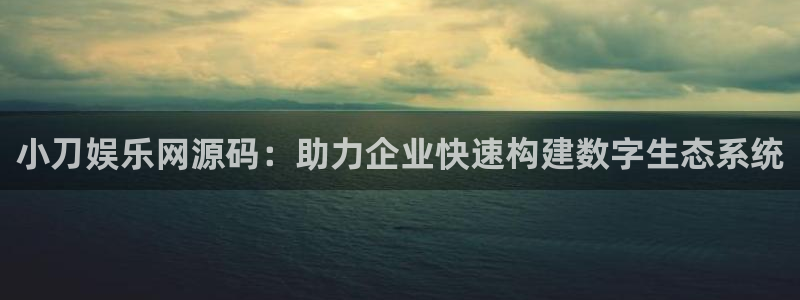 壹号下载官网入口：小刀娱乐网源码：助力企业快速构建数字生态系统